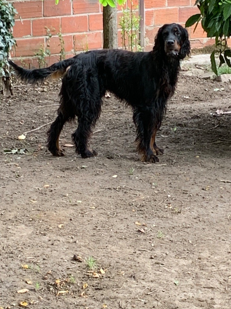 Roscoff Des Hauts De Taulisse