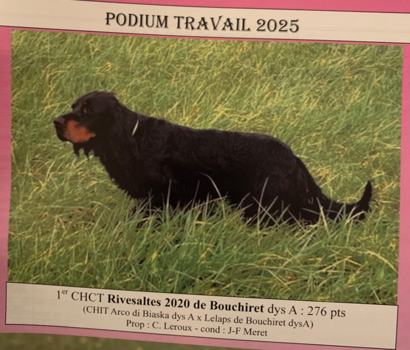 Nouvelle union de Syrene avec Rivesaltes 2020 du Bouchiret!