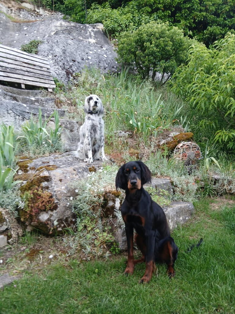Syrene et Roscoff 